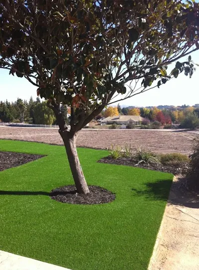 Synthetic Grass Company in Visalia, CA Synthetic Grass Company in Visalia, CA