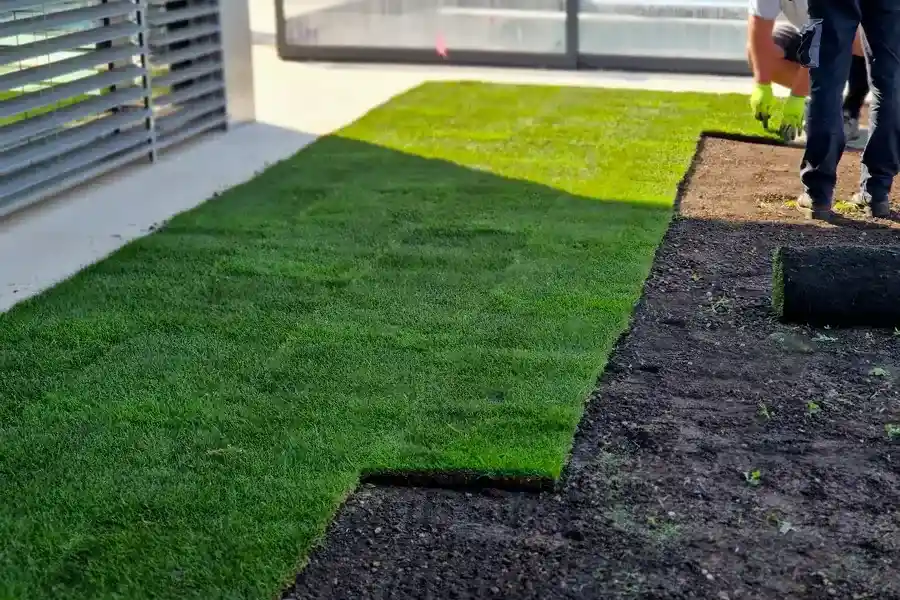 Premium Artificial Turf Installation Visalia, CA Premium Artificial Turf Installation Visalia, CA